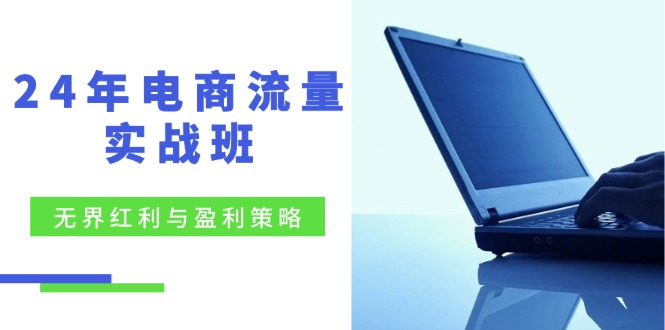 24年电商流量实战班：无界 红利与盈利策略，终极提升/关键词优化/精准…-优优云网创
