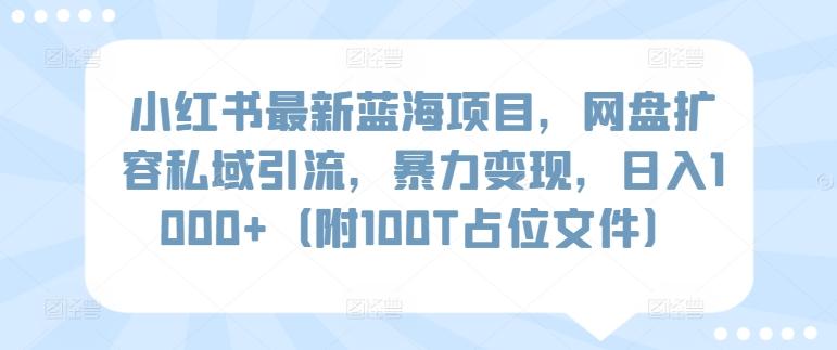 小红书最新蓝海项目，网盘扩容私域引流，暴力变现，日入1000+(附100T占位文件)【揭秘】-优优云网创