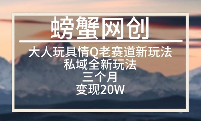 大人玩具情Q用品赛道私域全新玩法，三个月变现20W，老项目新思路【揭秘】-优优云网创